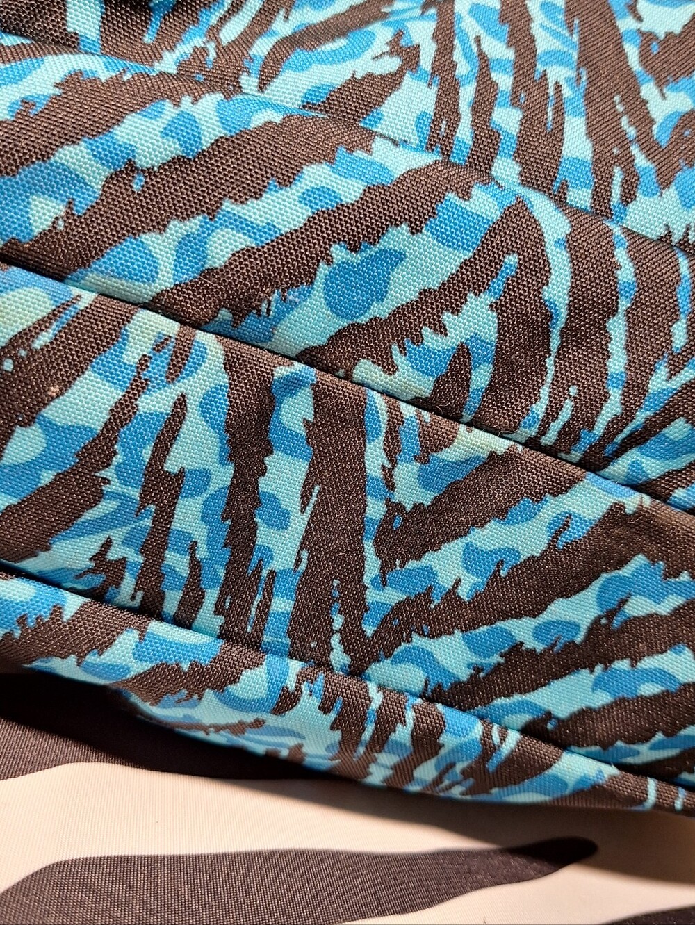 Jansport Backpack, Zebra Stripes, Black & Blue - Picture 6 of 16
